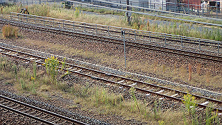 pa071137_thumb.jpg