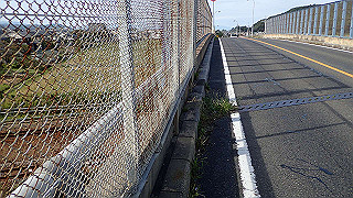pa071138_thumb.jpg