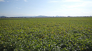 pa071146_thumb.jpg