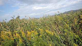 pa071150_thumb.jpg