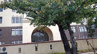 pa071167_thumb.jpg