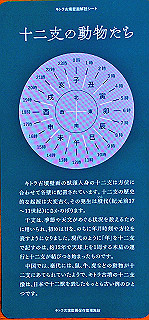 20191011_013330075_ios_thumb.jpg