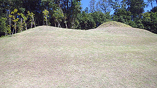 pa100961_thumb.jpg