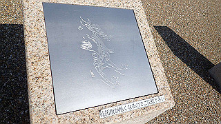 pa100971_thumb.jpg