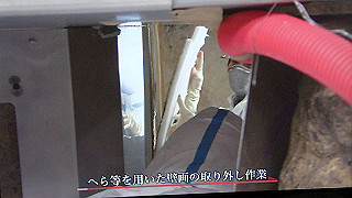 pa100991_thumb.jpg