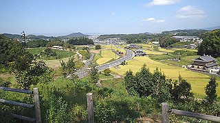 pa100999_thumb.jpg