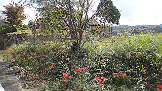 pa101002_thumb.jpg