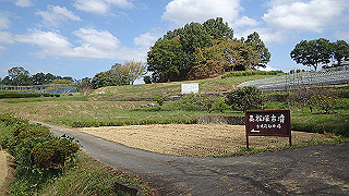 pa101003_thumb.jpg
