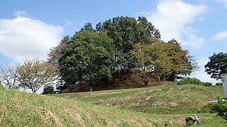 pa101004_thumb.jpg