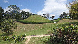 pa101005_thumb.jpg