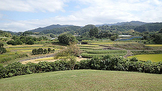 pa101012_thumb.jpg