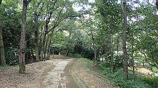 pa101015_thumb.jpg