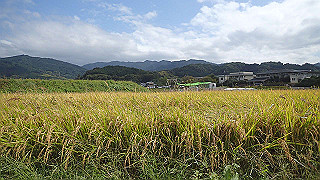 pa101018_thumb.jpg