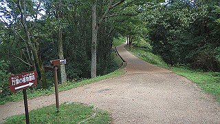 pa101020_thumb.jpg