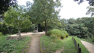 pa101021_thumb.jpg