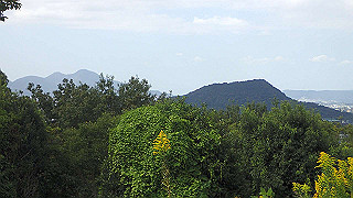 pa101023_thumb.jpg