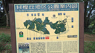 pa101026_thumb.jpg