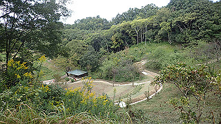 pa101027_thumb.jpg