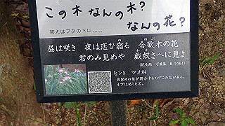 pa101029_thumb.jpg