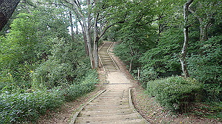 pa101031_thumb.jpg