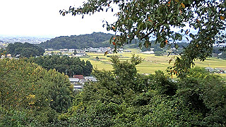 pa101036.mov_thumb.jpg