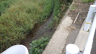 pa101040_thumb.jpg