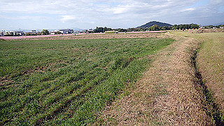 pa101047_thumb.jpg