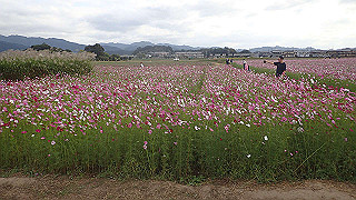 pa101058_thumb.jpg