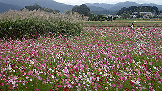 pa101060_thumb.jpg