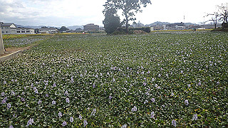 pa101061_thumb.jpg