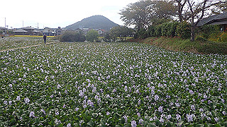 pa101065_thumb.jpg