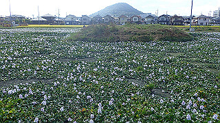 pa101069_thumb.jpg