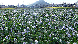 pa101072_thumb.jpg