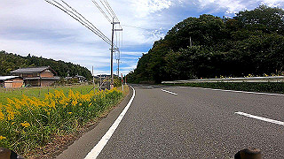 gh010120.mp4_thumb.jpg