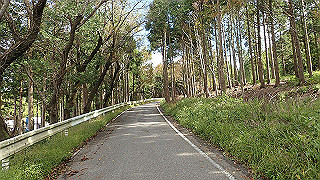 pa200953_thumb.jpg