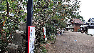 pa200977.mov_thumb.jpg
