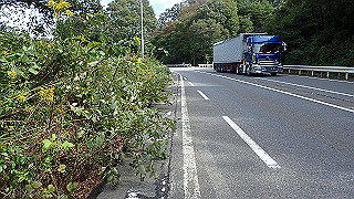 pa200998_thumb.jpg
