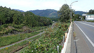 pa201001_thumb.jpg