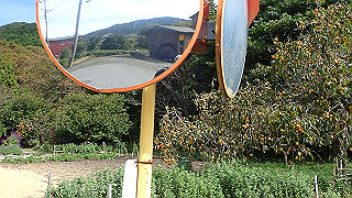 pa201017_thumb.jpg