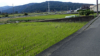 pa201022_thumb.jpg