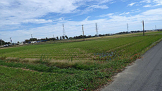 pa201036_thumb.jpg