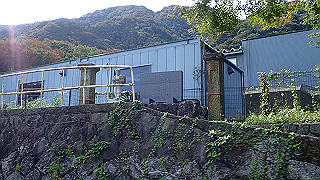pa201037_thumb.jpg