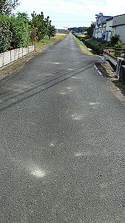 pa201040_thumb.jpg