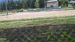 pa201043_thumb.jpg