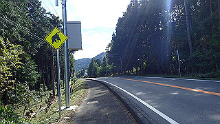 pa201058_thumb.jpg
