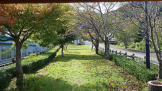 pa201060_thumb.jpg