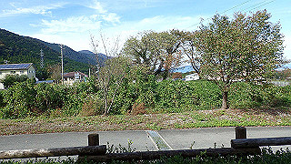 pa201061_thumb.jpg