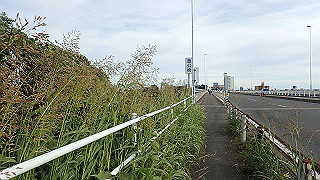 pa201108_thumb.jpg