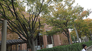 pb030053_thumb.jpg
