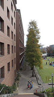 pb030068_thumb.jpg